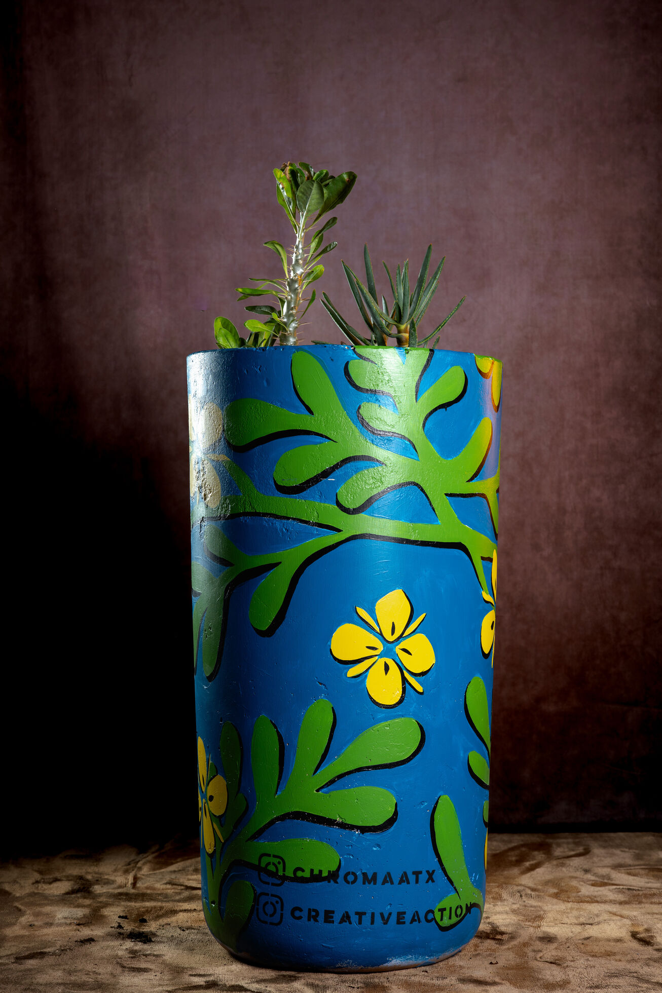 Chroma Collective Artist Planter #2 - image 3