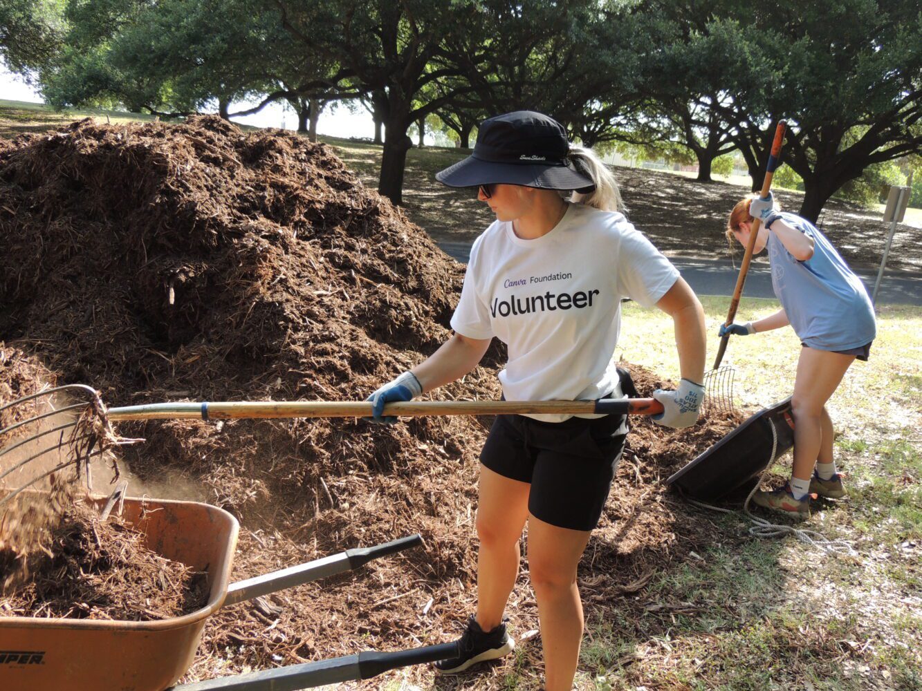 Day in the Dirt